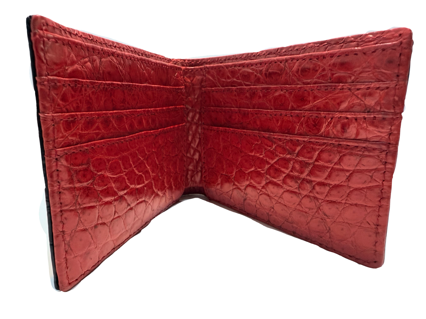 Hanson American Alligator Black/Red