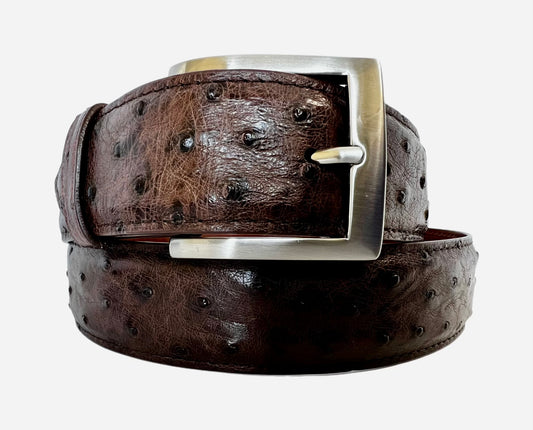 Hanson Exotics Ostrich Belt
